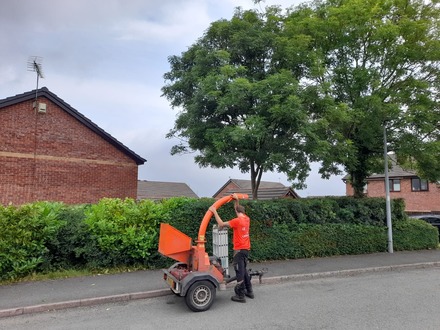 hedge_cutting After